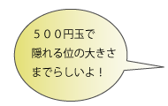 ５００円玉で隠れる位の大きさまでらしいよ！